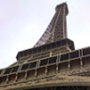 Meet your Posher, Ginger